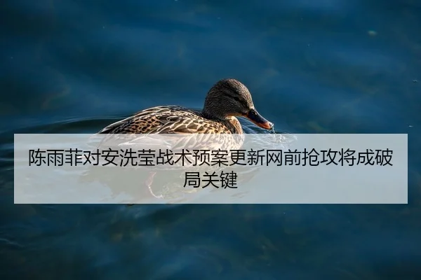 陈雨菲对安洗莹战术预案更新网前抢攻将成破局关键