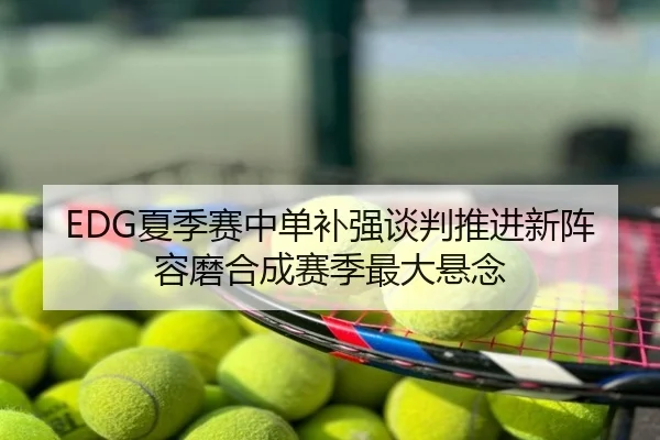 EDG夏季赛中单补强谈判推进新阵容磨合成赛季最大悬念